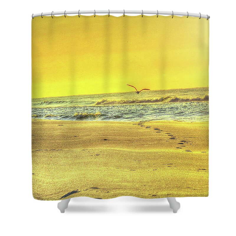 Beach Shower Curtain featuring the digital art Early morning beach walk by Kathleen Illes