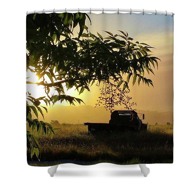 Sunrise Shower Curtain featuring the photograph Early Morning in Watsonville by Lora Lee Chapman