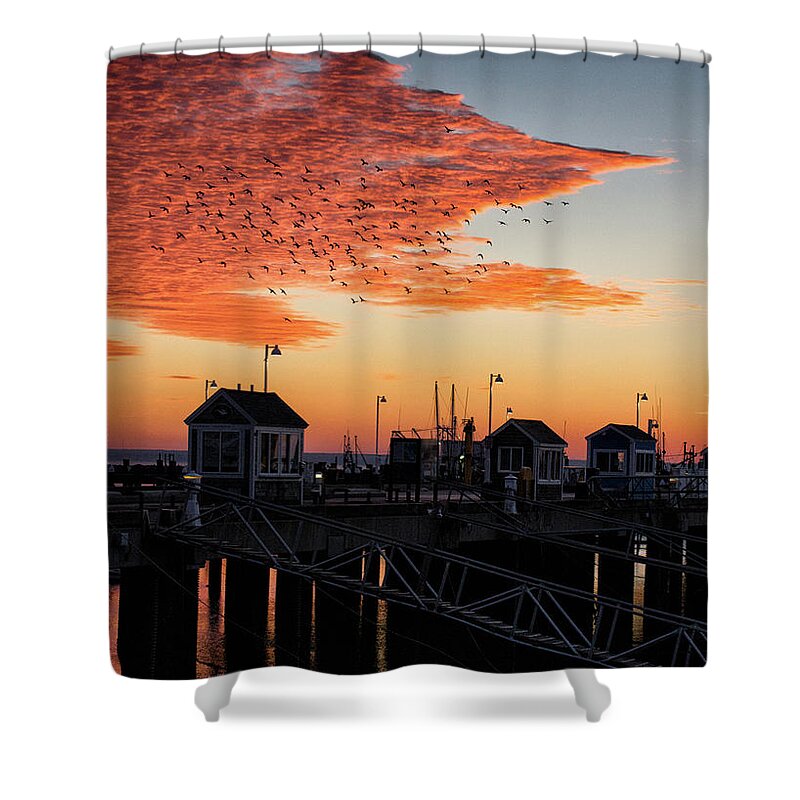 Provincetown Shower Curtain featuring the photograph Early Orange by Ellen Koplow