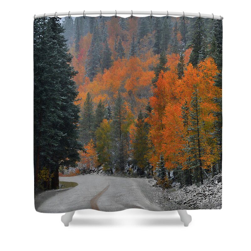 Snow Shower Curtain featuring the photograph Early Snow by Dana Sohr
