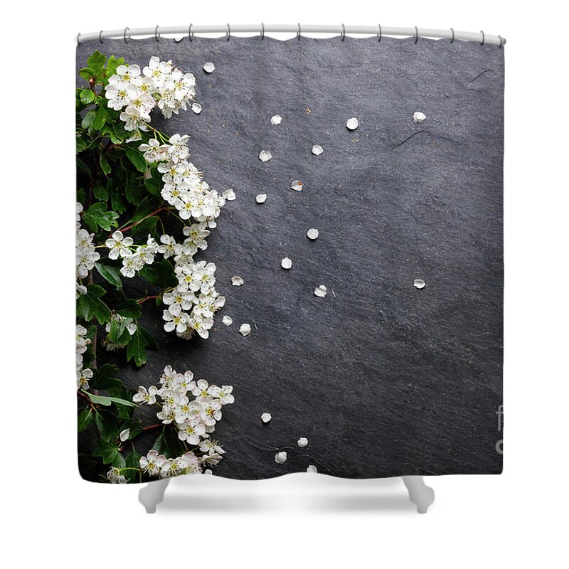 Spring Shower Curtain featuring the photograph Early summer white flower blossoms by Nicholas Burningham