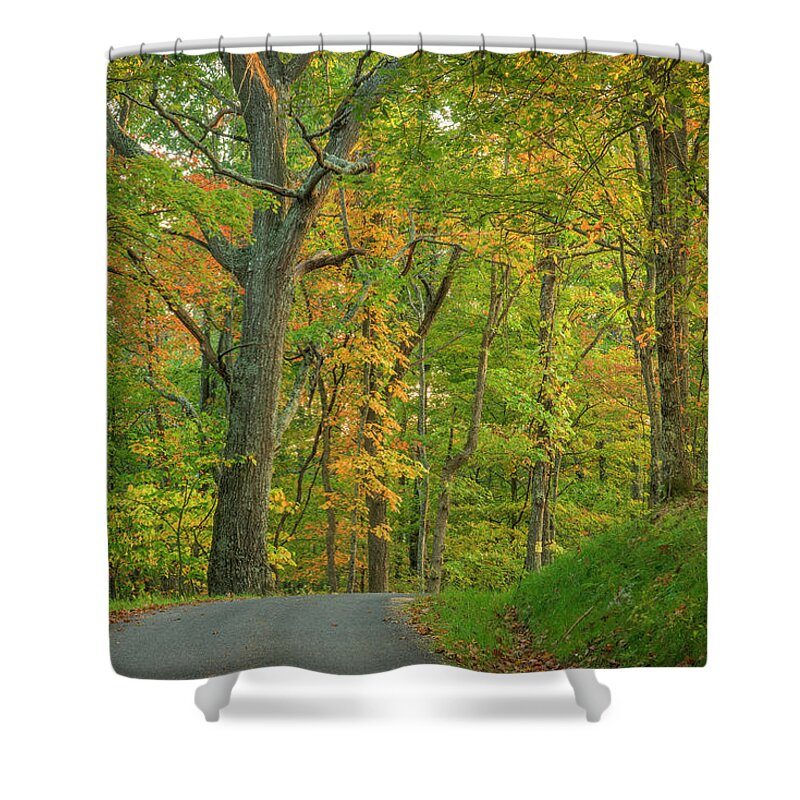 Forest Shower Curtain featuring the photograph Early Sun by David Waldrop