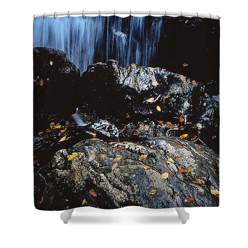 Fine Art Shower Curtain featuring the photograph Earth and Water Spirits 2 by Rodney Lee Williams