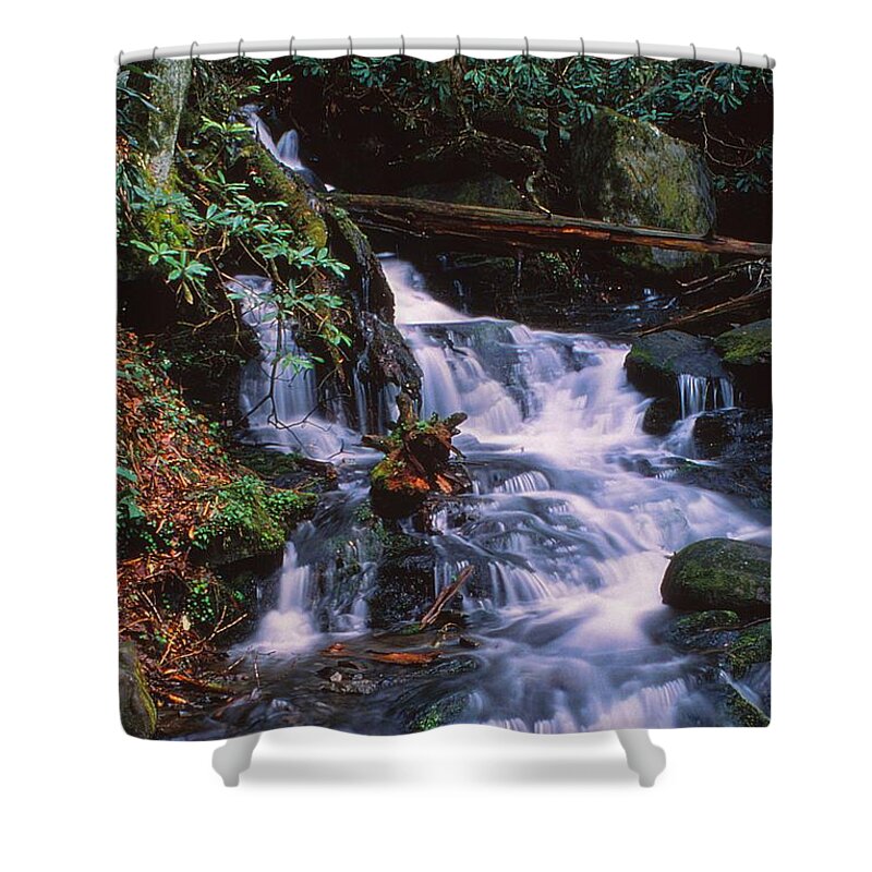 Fine Art Shower Curtain featuring the photograph Earth and Water Spirits 5 by Rodney Lee Williams