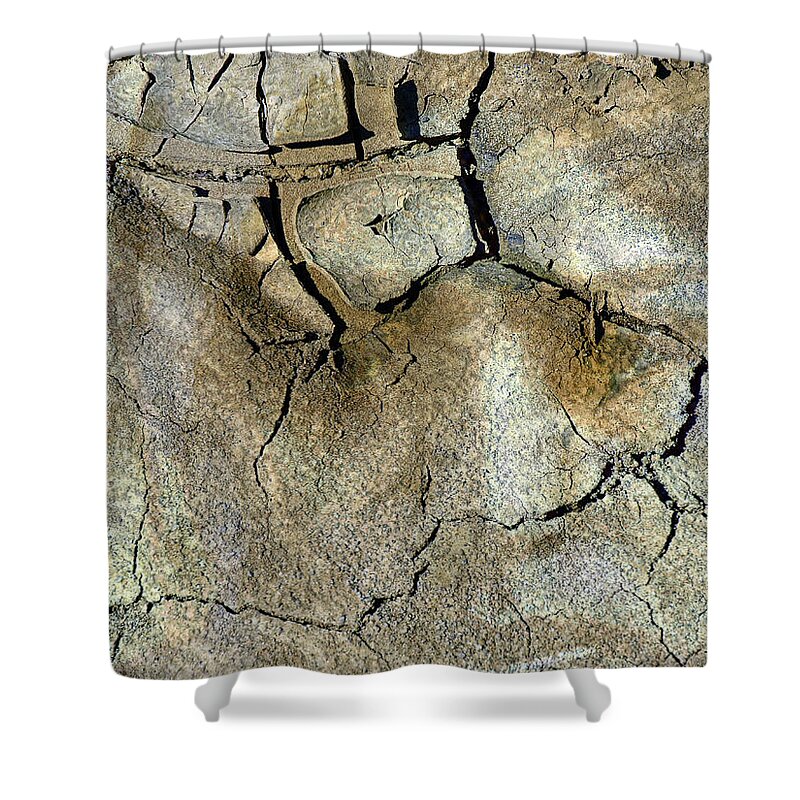 Mother Earth Shower Curtain featuring the photograph Earth Memories-Thirsty Earth by Ed Hall