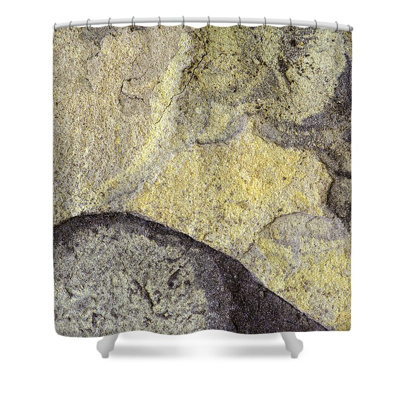 Macro Shower Curtain featuring the photograph Earth Portrait 010 by David Waldrop