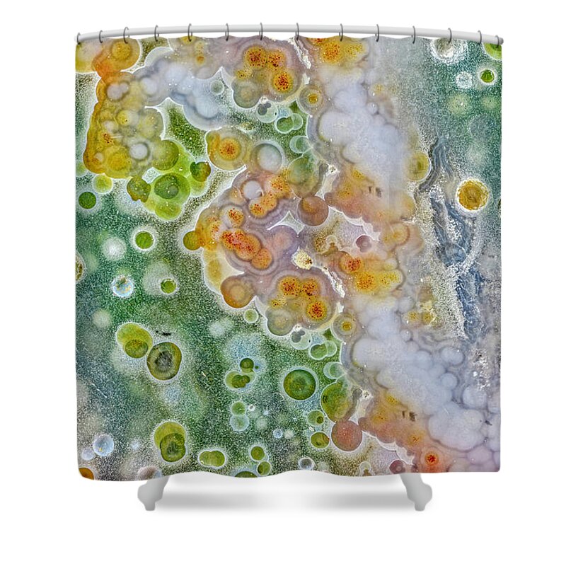 Earth Shower Curtain featuring the photograph Earth Portrait 277 by David Waldrop