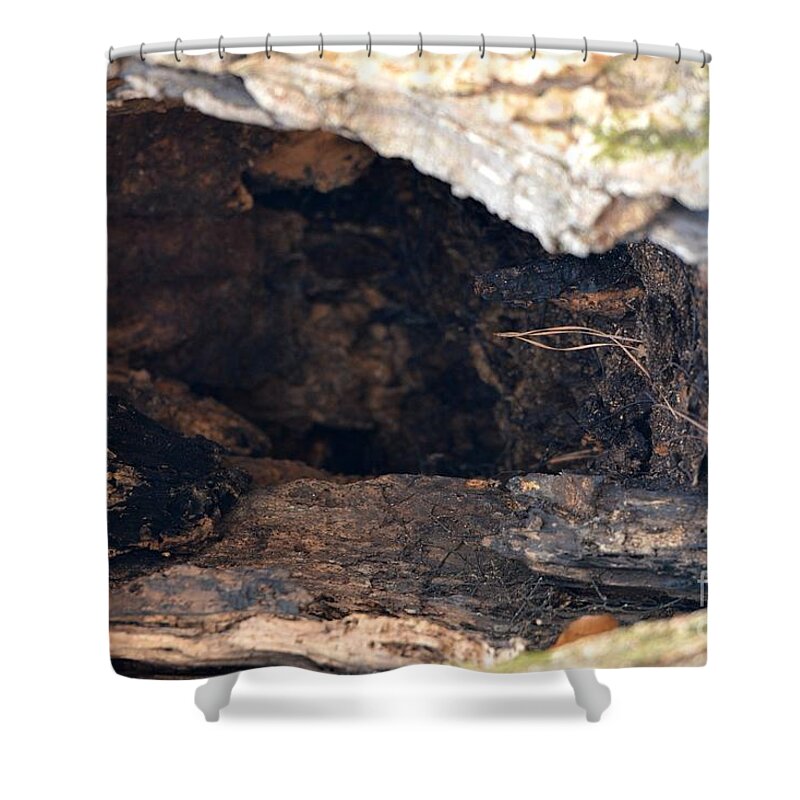 Earthen Abstract Shower Curtain featuring the photograph Earthen Abstract by Maria Urso