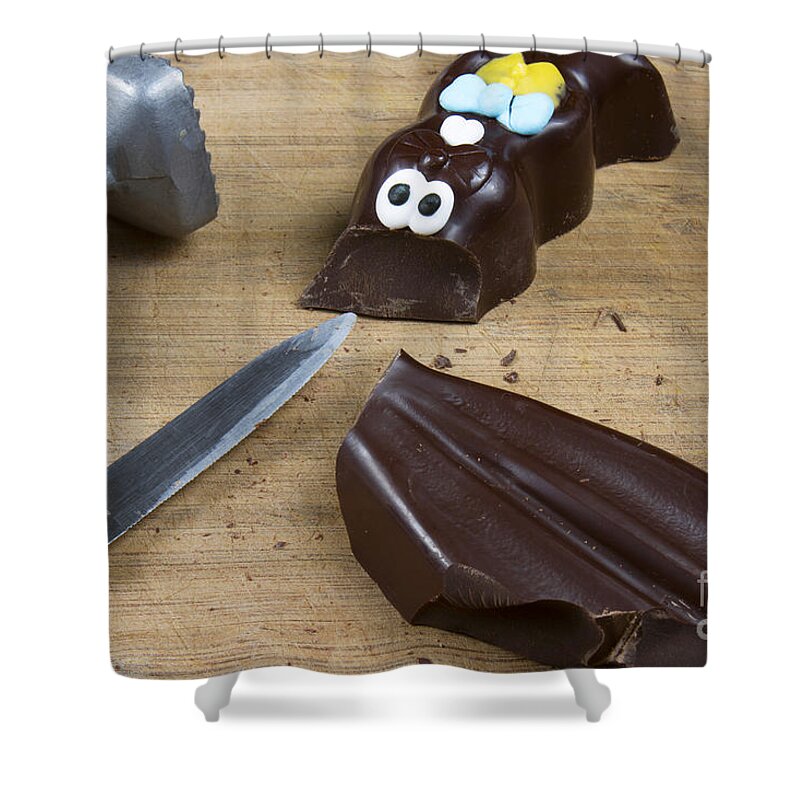 Chocolate Shower Curtain featuring the photograph Easter Bunny by Karen Foley
