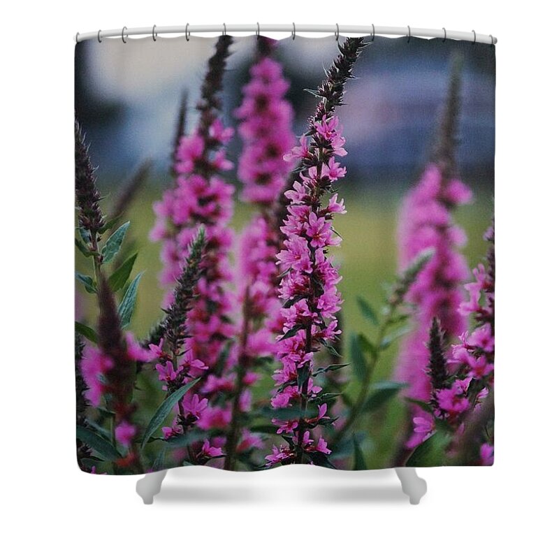 Floral Shower Curtain featuring the photograph Eastern Gay Feather by Tracey Vivar