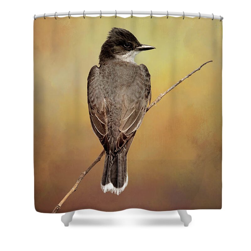 Eastern King Bird Shower Curtain featuring the photograph Eastern King Bird by Susan Rissi Tregoning