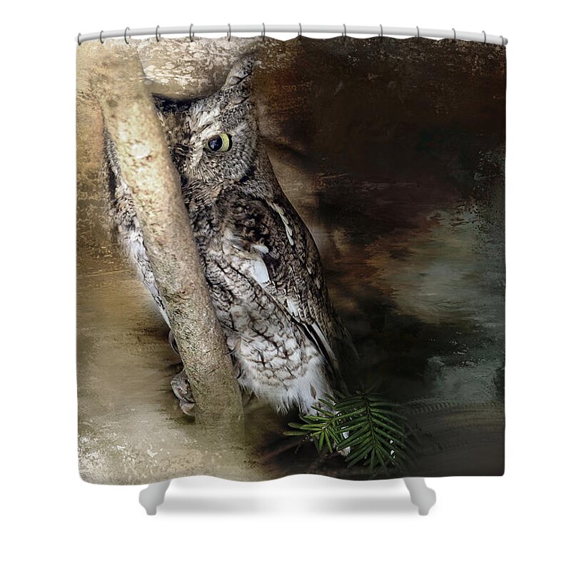 Raptor Shower Curtain featuring the photograph Eastern Screech Owl Plays Peek a Boo by Eleanor Abramson