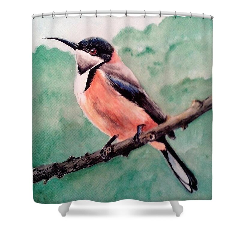 Australian Shower Curtain featuring the painting Eastern spinebill by Anne Gardner