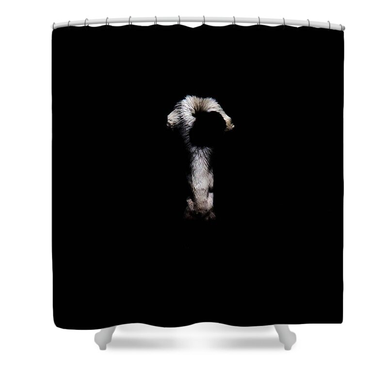  Shower Curtain featuring the photograph Eclipse In The Dark by Dirk Johnson