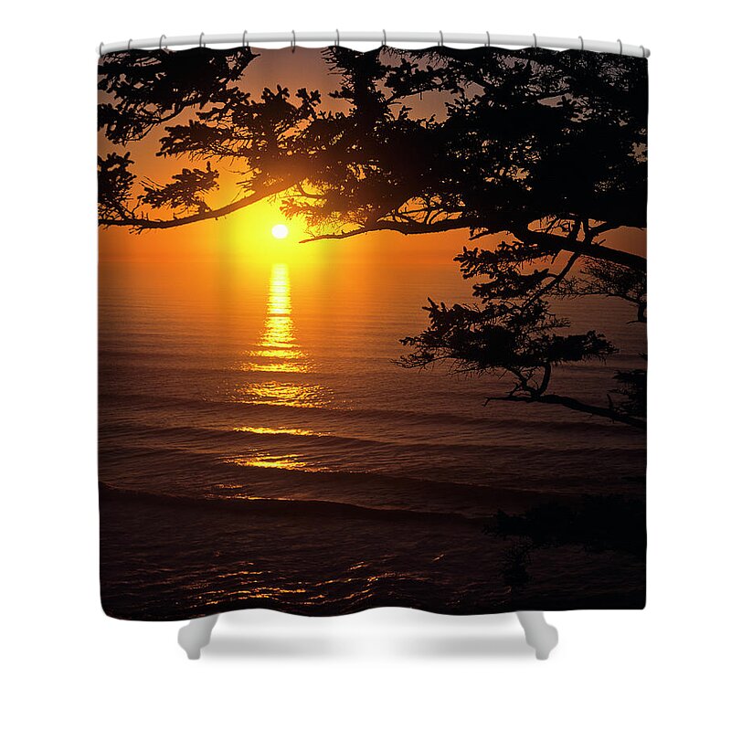 Cannon Beach Shower Curtain featuring the photograph Ecola Spruce Sunset by Robert Potts