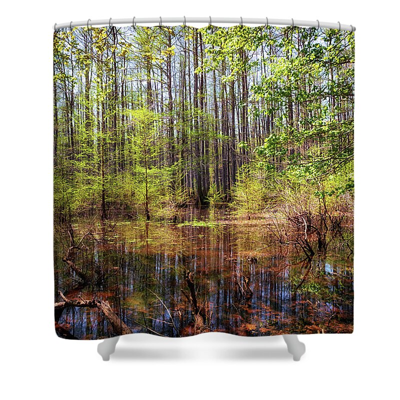 Heron Pond Shower Curtain featuring the photograph Edge of the Swamp 2 by Susan Rissi Tregoning