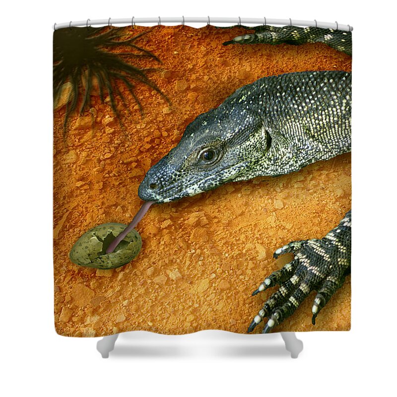 Animals Shower Curtain featuring the photograph Eggs for Breakfast by Holly Kempe