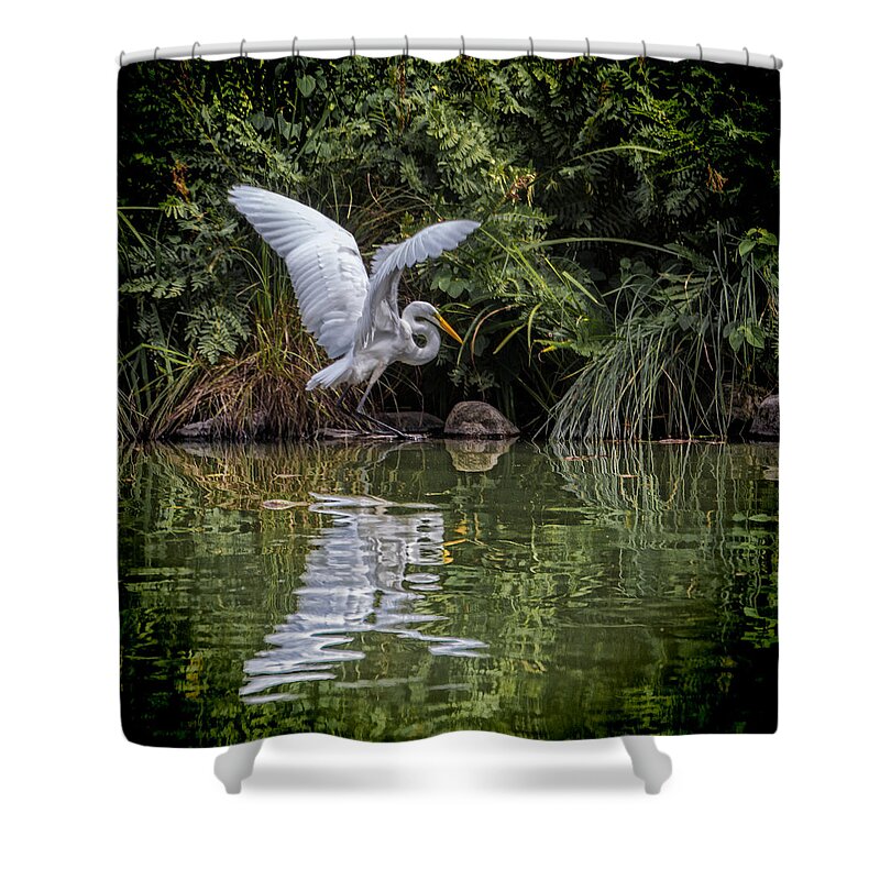 Egret Shower Curtain featuring the photograph Egret Hunting for Lunch by Chris Lord