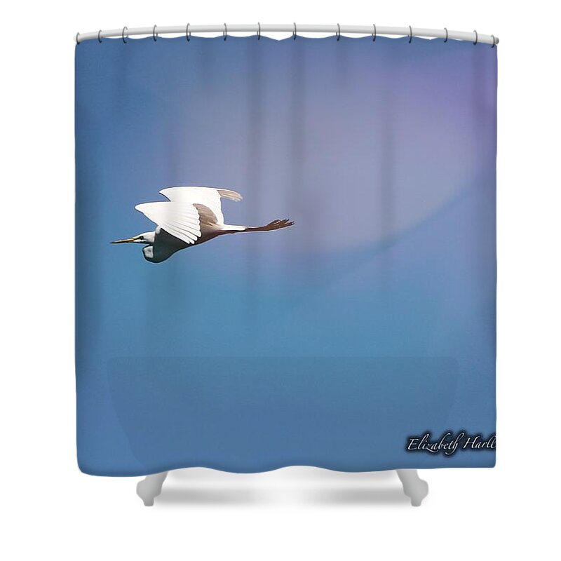  Shower Curtain featuring the photograph Egret in Flight by Elizabeth Harllee