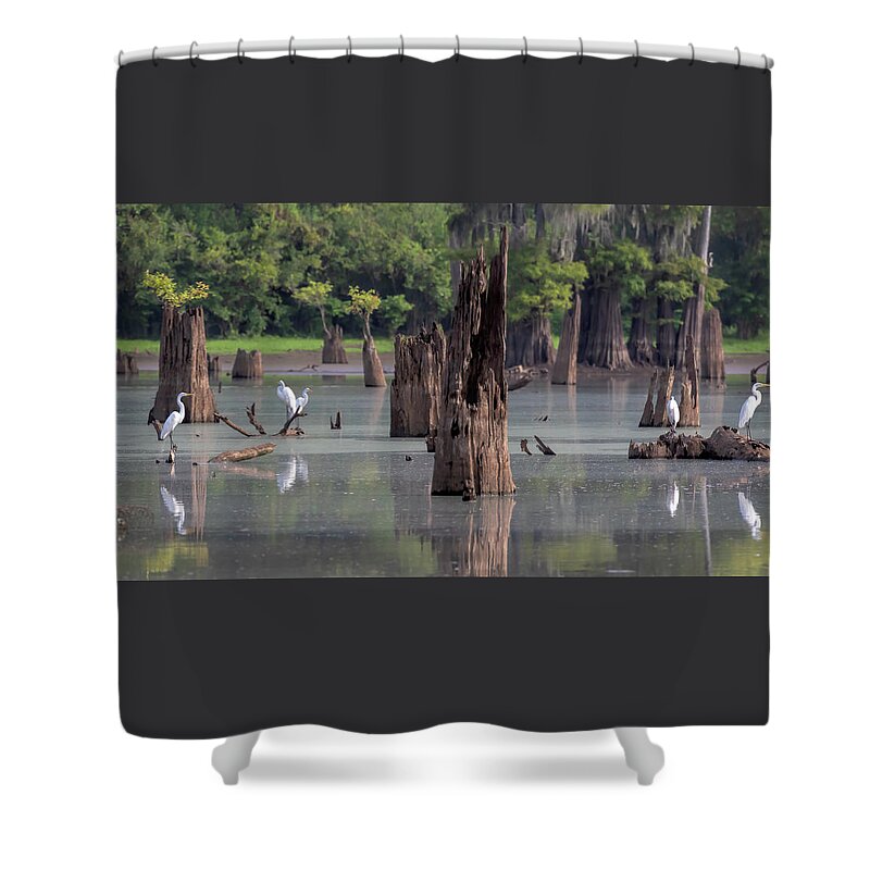 Atchafalaya River Basin Shower Curtain featuring the photograph Egrets in the Bayou by Susan Rissi Tregoning