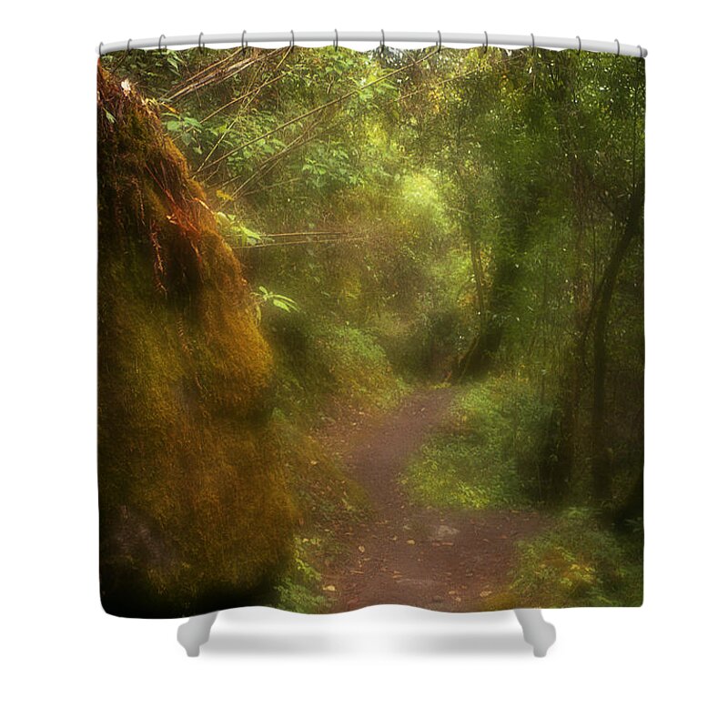 Path Shower Curtain featuring the photograph El Camino by Patrick Klauss