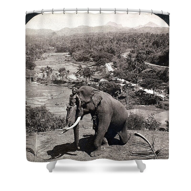 1902 Shower Curtain featuring the photograph Elephant And Keeper, 1902 by Granger