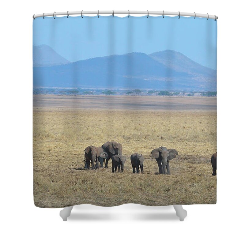 Family Shower Curtain featuring the photograph Elephant Family Scenic Backdrop Tanzania by Tom Wurl