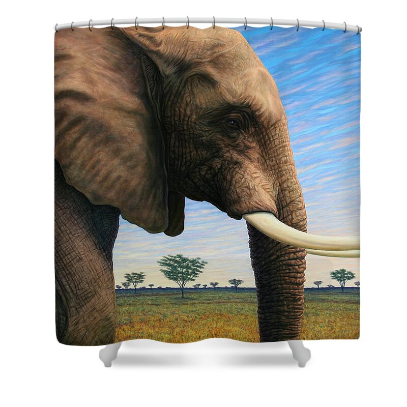Elephant Shower Curtain featuring the painting Elephant on Safari by James W Johnson