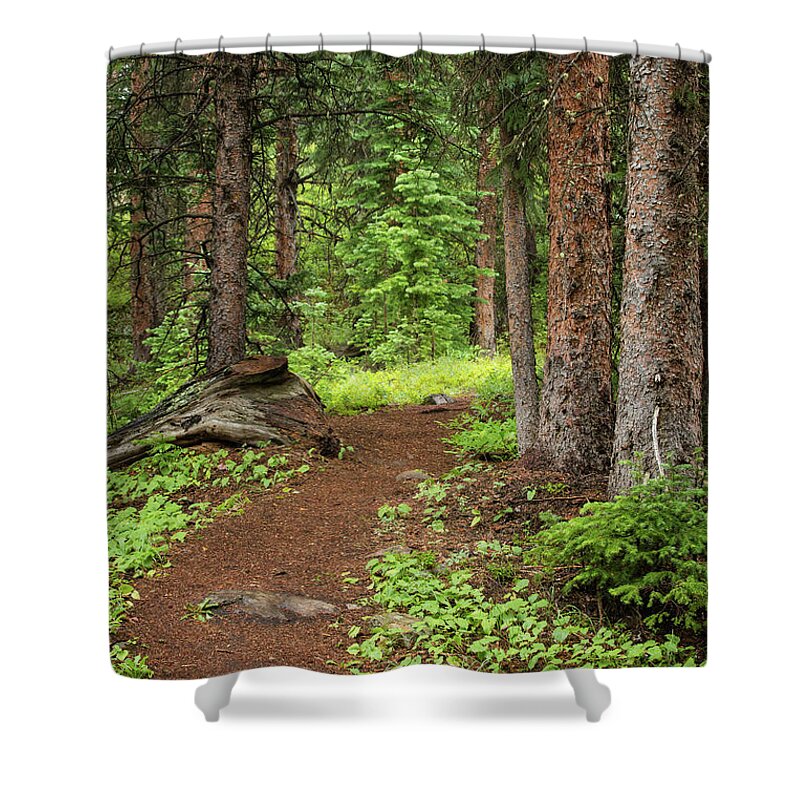 Colorado Shower Curtain featuring the photograph Elk Camp Trail by Adam Pender