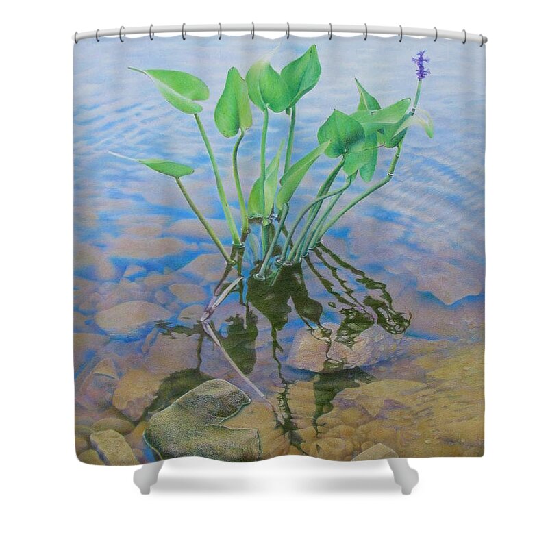 Water Shower Curtain featuring the painting Ellie's Touch by Pamela Clements