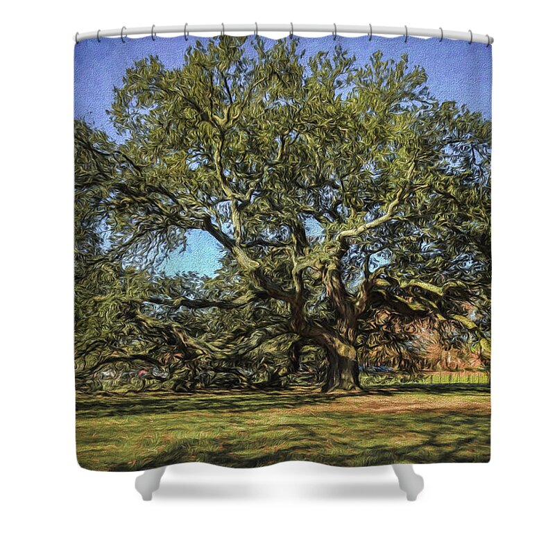 Emancipation Oak Shower Curtain featuring the photograph Emancipation Oak Tree by Jerry Gammon