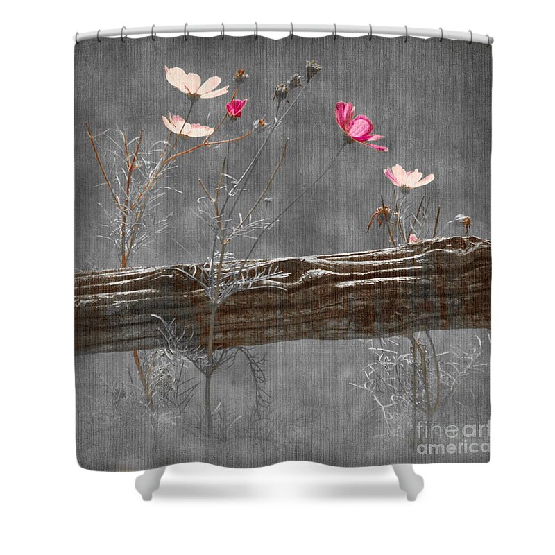 Flowers Shower Curtain featuring the photograph Emerging Beauties - v38at1 by Variance Collections