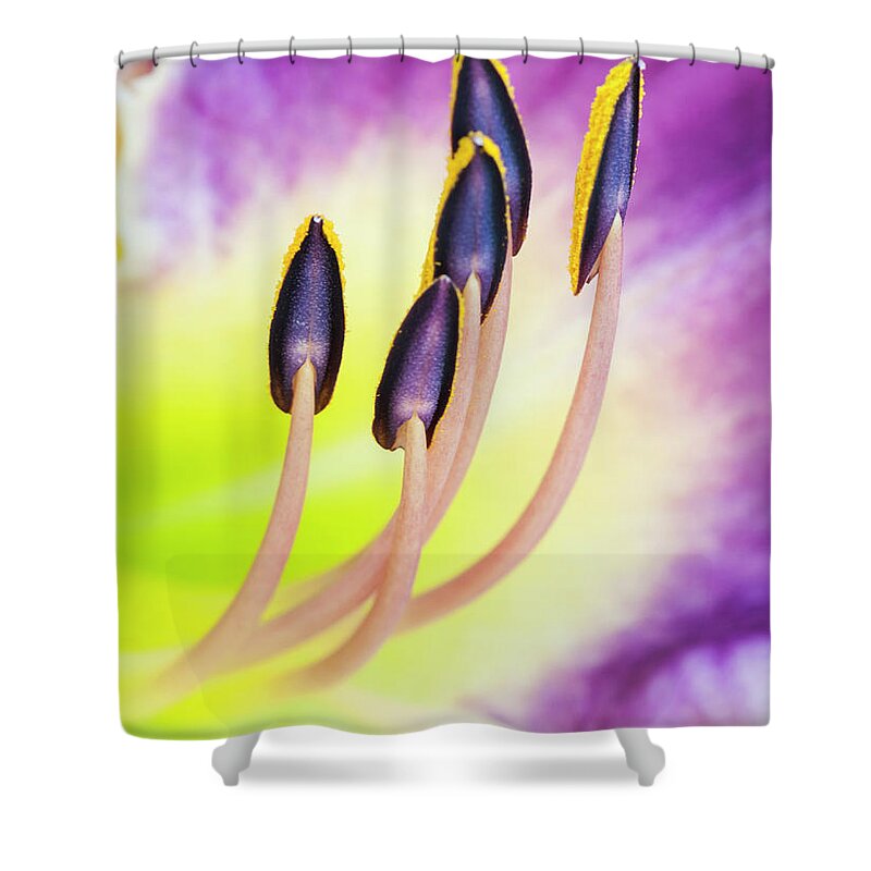 Daylily Shower Curtain featuring the photograph Emerging from fire. by Usha Peddamatham