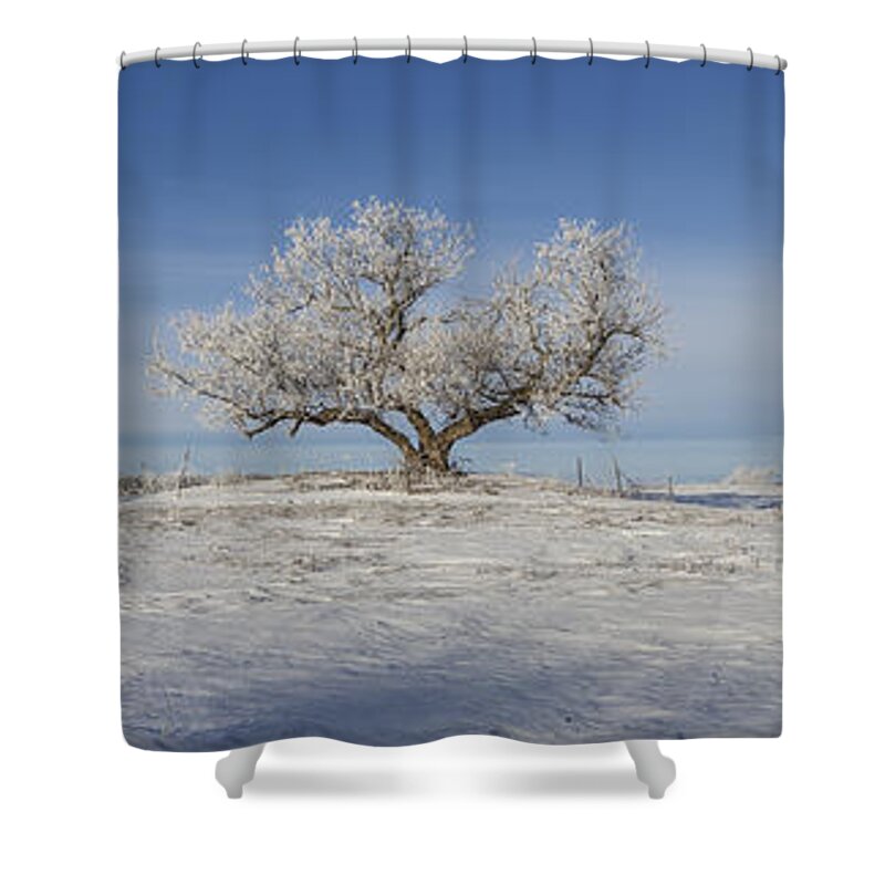Eminija Shower Curtain featuring the photograph Eminija Tree with Hoarfrost by Aaron J Groen