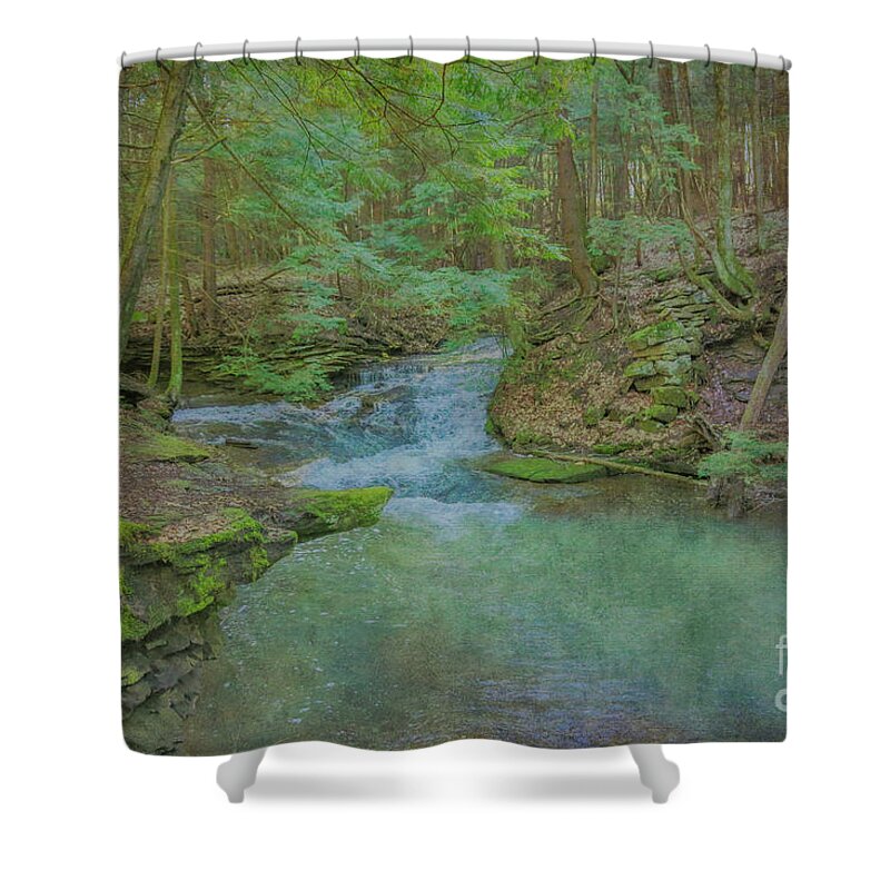 Enchanted Forest One Shower Curtain featuring the digital art Enchanted Forest One by Randy Steele