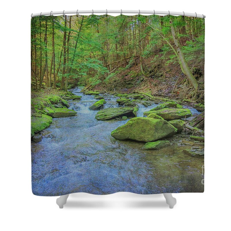 Enchanted Forest Three Shower Curtain featuring the digital art Enchanted Forest Three by Randy Steele