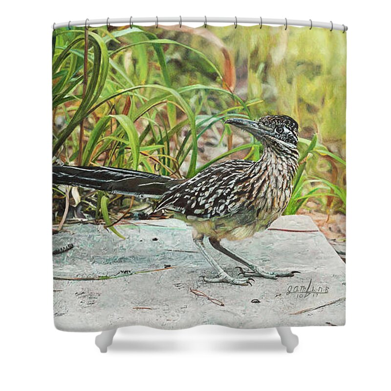 Roadrunner Shower Curtain featuring the painting End of the Road by Joshua Martin