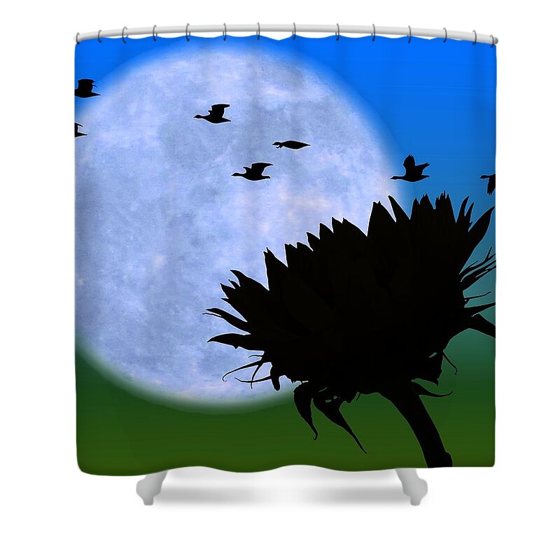 Endings Shower Curtain featuring the photograph Endings . . . . . by I'ina Van Lawick