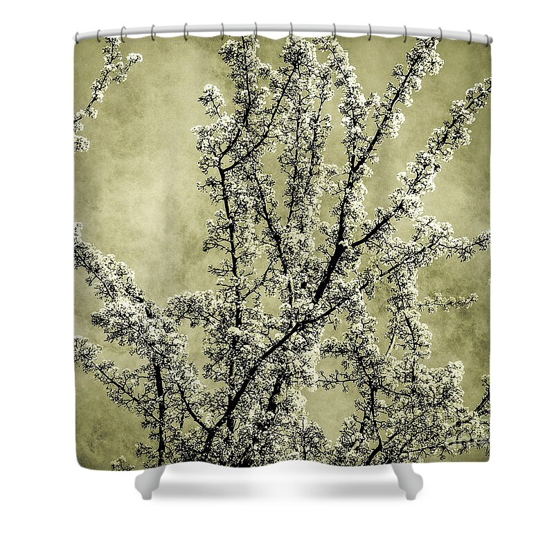 Background Shower Curtain featuring the photograph Endurance by Andrea Anderegg