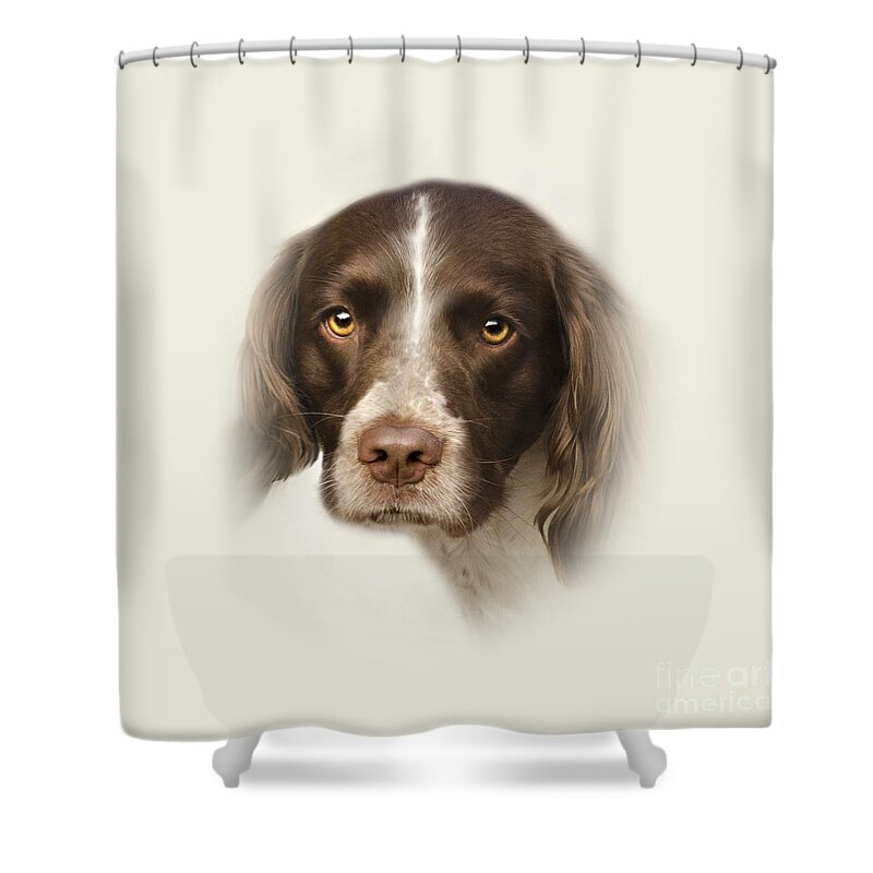 Dog Shower Curtain featuring the photograph English Springer Spaniel by Linsey Williams
