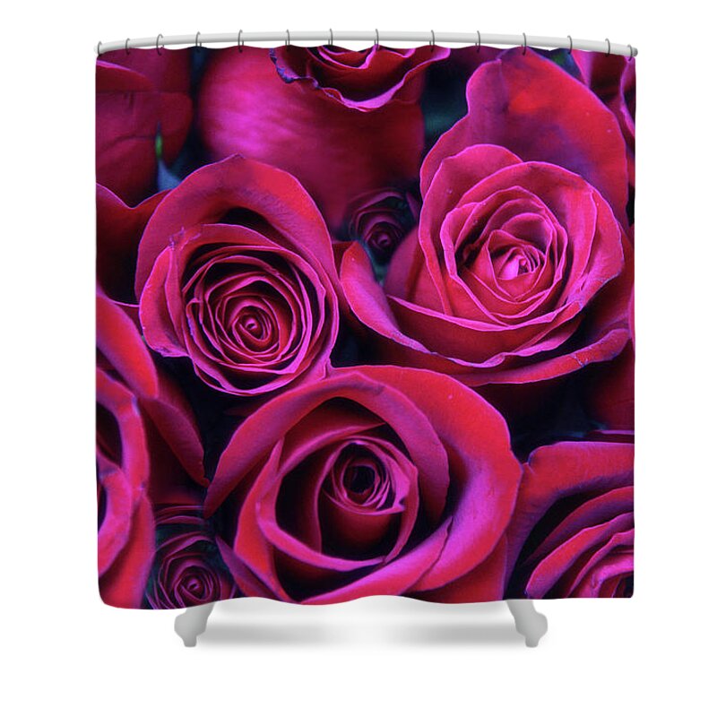 Roses Shower Curtain featuring the photograph Enraptured by Jessica Jenney