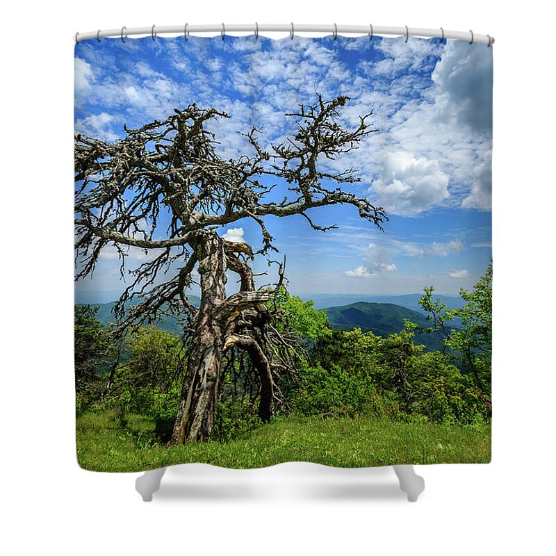 Blue Ridge Parkway Shower Curtain featuring the photograph Ent at the Top of the Hill - Color by Joni Eskridge