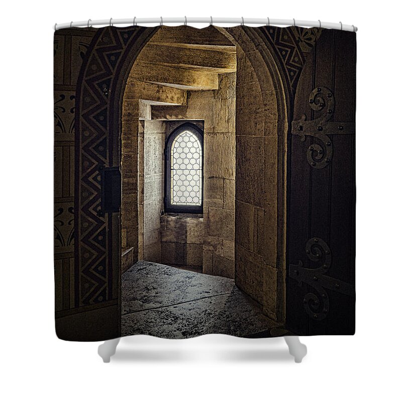 Budapest Shower Curtain featuring the photograph Enter for Enlightenment by Sharon Popek