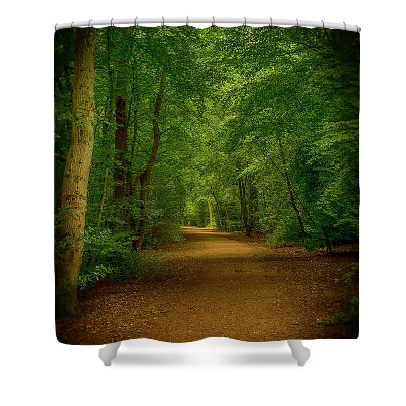 Epping Forest Shower Curtain featuring the photograph Epping Forest Walk by David French