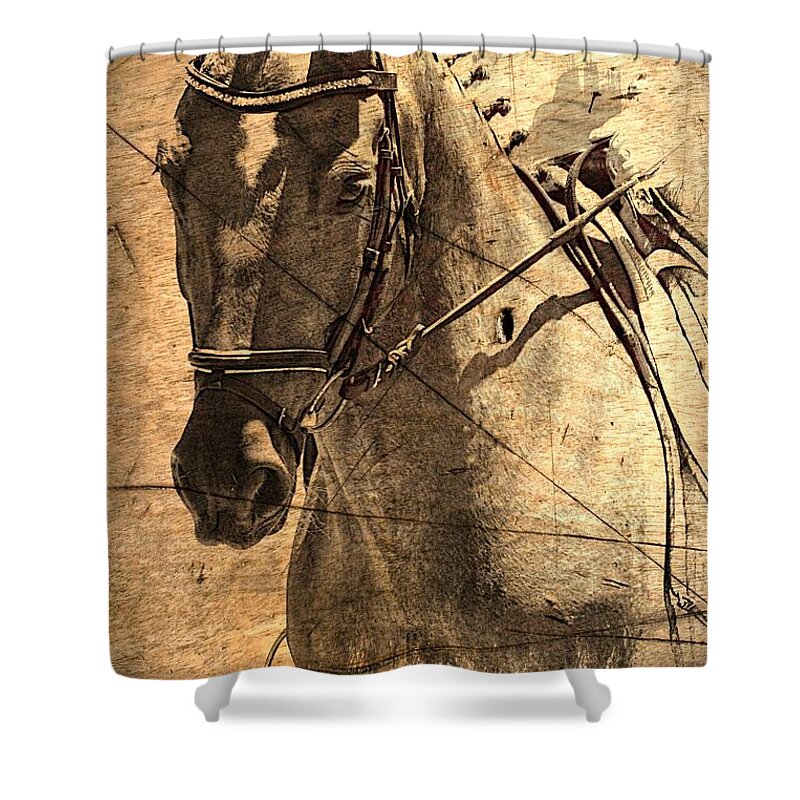 Horse Shower Curtain featuring the photograph Equestrian by Clare Bevan