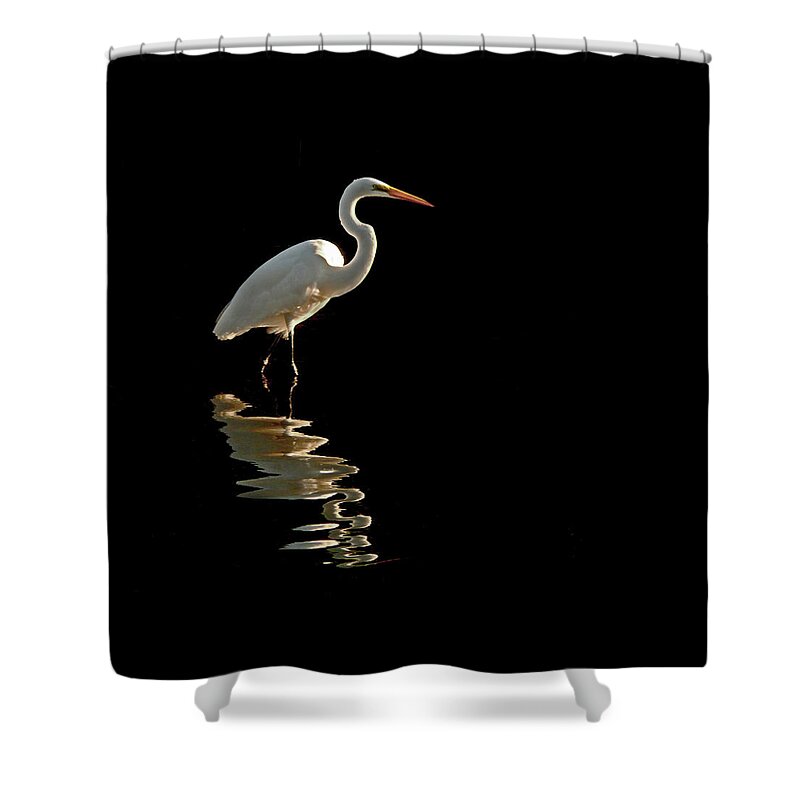 Egrets Shower Curtain featuring the photograph Ergret Reflecting by Stuart Harrison