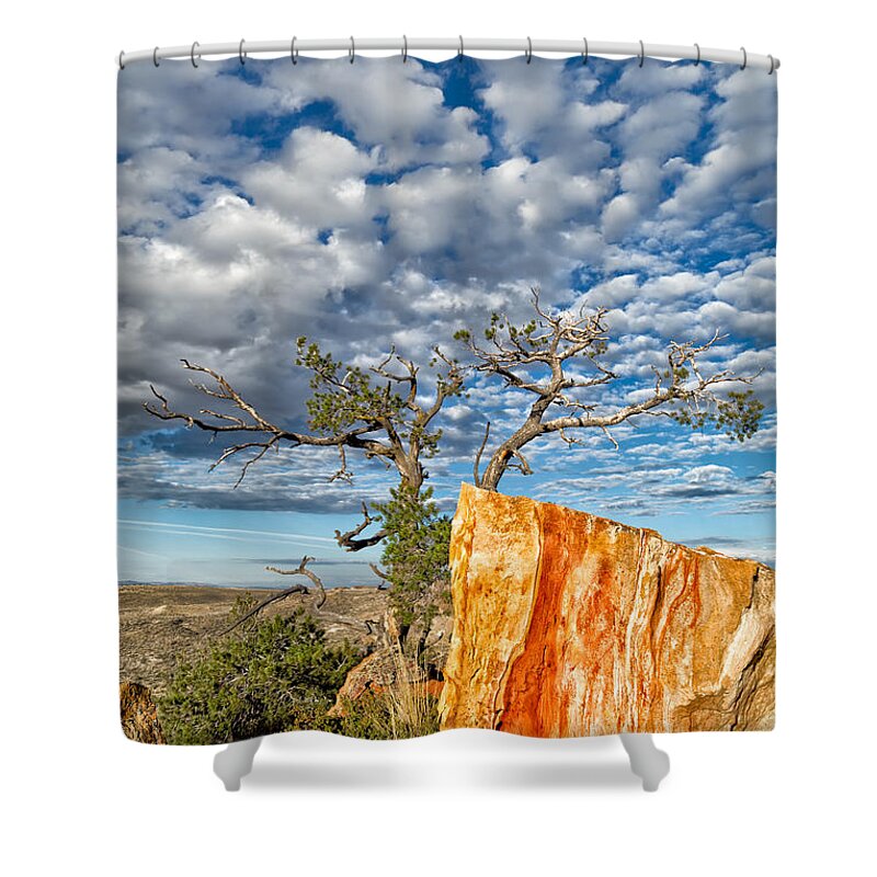 Castle Gardens Shower Curtain featuring the photograph Escarpment in the Badlands by Kathleen Bishop