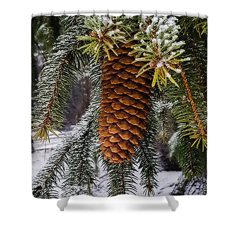 Pine Shower Curtain featuring the photograph Essence of winter by Bruce Carpenter