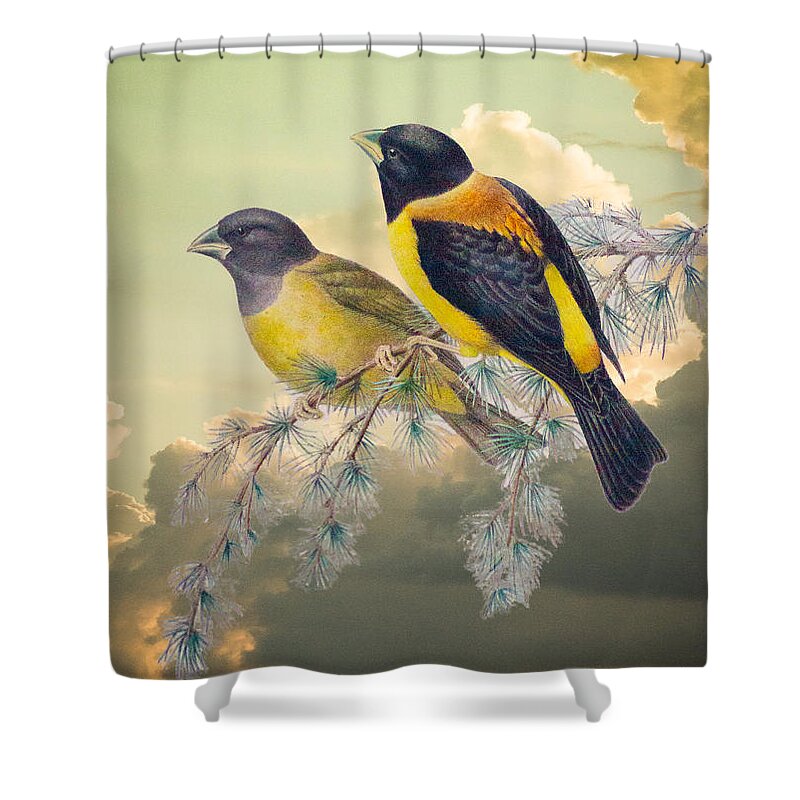 Ethereal Shower Curtain featuring the photograph Ethereal Birds on Snowy Branch by Douglas Barnett