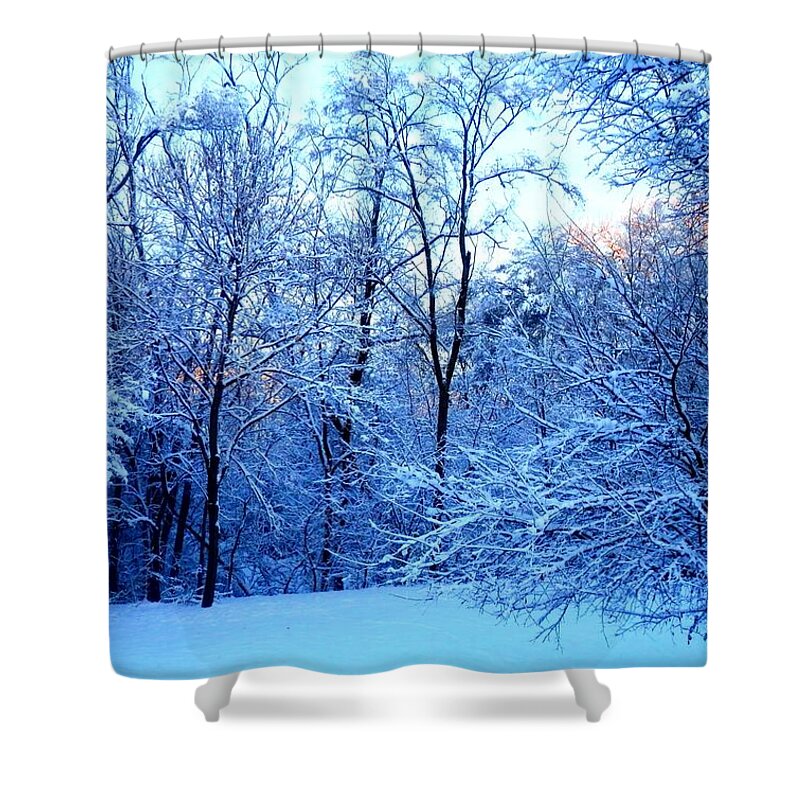Winter Shower Curtain featuring the photograph Ethereal Snow by Deborah Kunesh